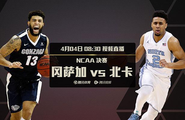 动物logo